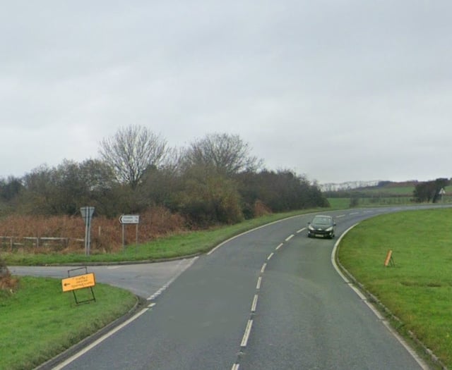 Shelter for elderly horse given approval