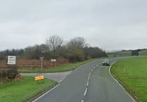 Shelter for elderly horse given approval