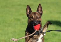 Calendar will fund retired North Wales police dogs