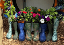 Ceredigion Green Spaces event celebrates green fingered volunteers