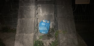 Drowned kittens found in plastic bag; police appeal for information