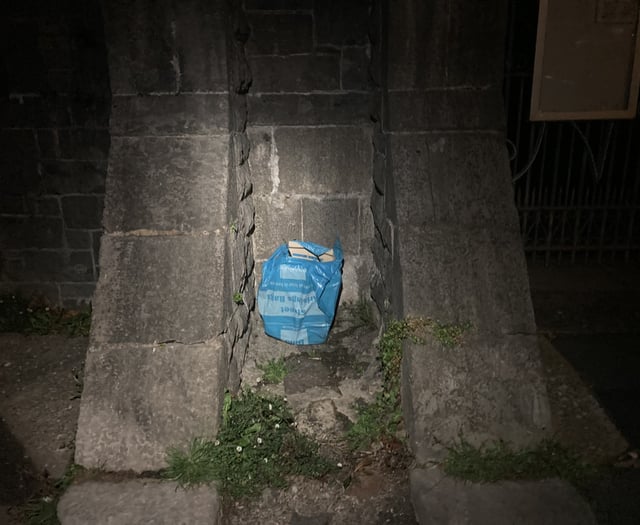 Drowned kittens found in plastic bag; police appeal for information