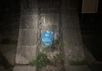 Drowned kittens found in plastic bag; police appeal for information