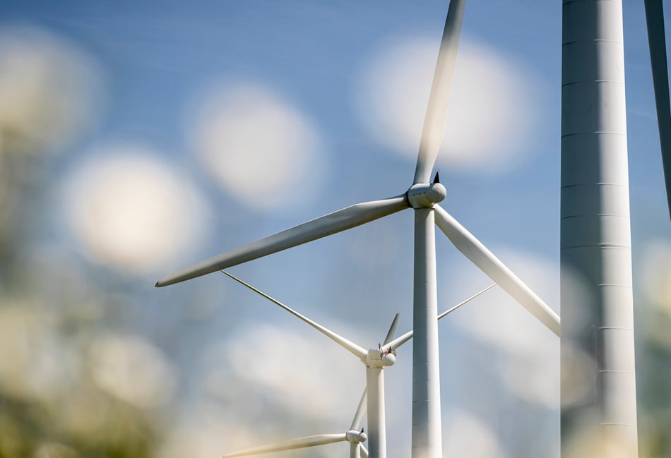 Bute Energy shelves Lampeter wind farm plans