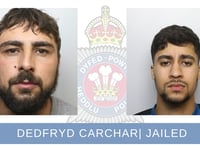 Two men jailed for arson attack on Tŷ Nant water plant