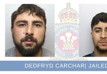 Two men jailed for arson attack on Tŷ Nant water plant