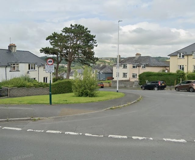 New location chosen for Penparcau Christmas tree