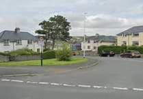 New location chosen for Penparcau Christmas tree