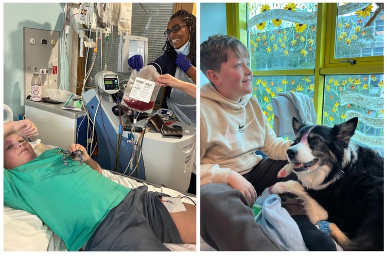 Rufus receiving treatment. Photo: The Palmer Family