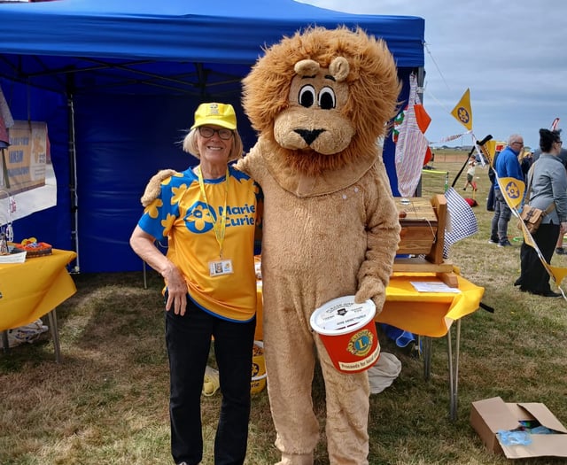 Marie Curie seeks Gwynedd Christmas volunteers