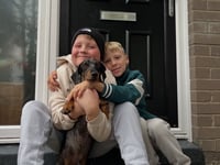 Aberystwyth unites to raise funds for Rufus' third leukaemia battle 