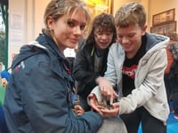 Autumn fun as tarantulas and dragons take over Machynlleth library
