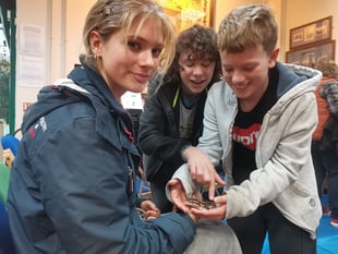 Autumn fun as tarantulas and dragons take over Machynlleth library