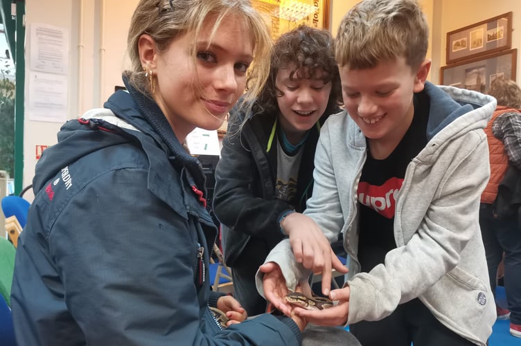 Snakes, scorpions and stick insects took over the library for the day over half-term week. Photo: Machynlleth Library