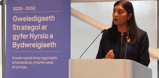 'New vision' for nursing and midwifery care in Wales