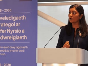 'New vision' for nursing and midwifery care in Wales