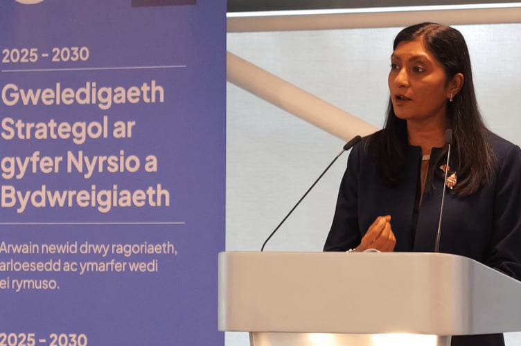 Chief Nursing Officer Sue Tranka speaking at the CNO conference in Cardiff