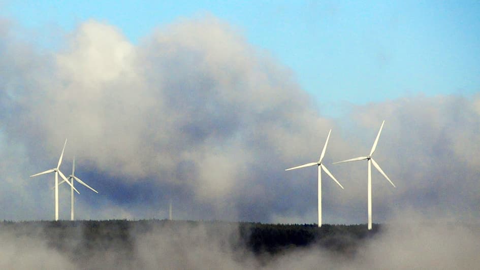 Call to support community green energy growth in Ceredigion