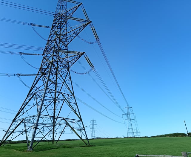 300 Welsh farmers granted right to legally challenge pylon actions