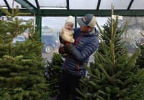 Ceredigion family providing Christmas cheer for 30 years