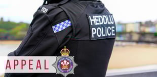 Man arrested on suspicion of Cardigan boat yard murder