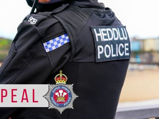 Police appeal for witnesses after Bow Street crash