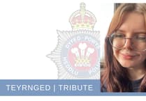 Help Corinna's family find answers