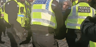 80yo daughter of Holocaust survivor arrested at Aber Palestine protest