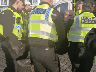 80yo daughter of Holocaust survivor arrested at Aber Palestine protest