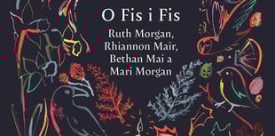 Almanac Cymraeg newydd yn dathlu arferion Cymru