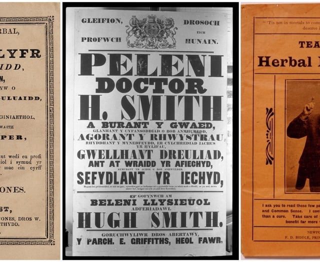 Project will uncover rich history of herbal medicine in Wales