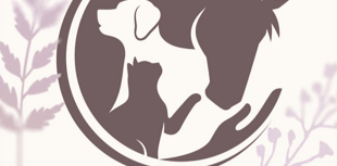 Ceredigion pet company nominated for Best Small Business award