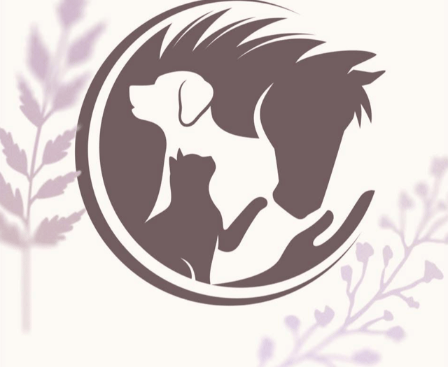 Ceredigion pet company nominated for Best Small Business award