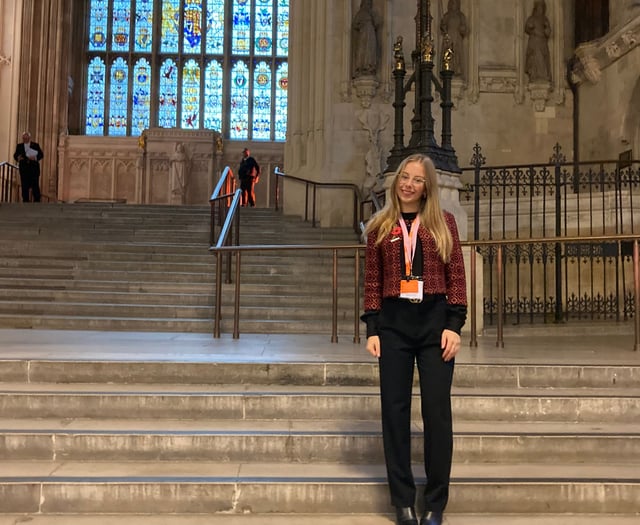 Ceredigion Youth MP debates in House of Commons