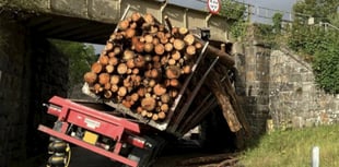 Network Rail urges drivers to 'wise up' after costly  bridge strikes