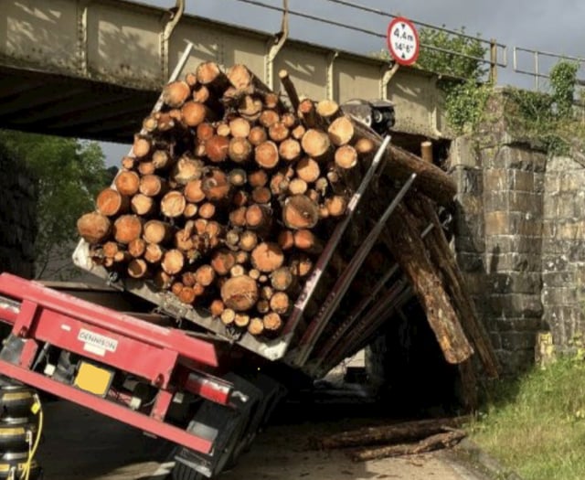 Network Rail urges drivers to 'wise up' after costly  bridge strikes