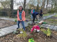 Plascrug School wins national PTA award