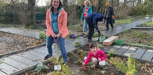 Plascrug School wins national PTA award