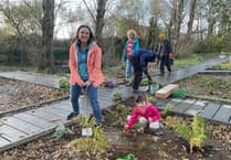 Aberystwyth's Plascrug School wins national PTA award