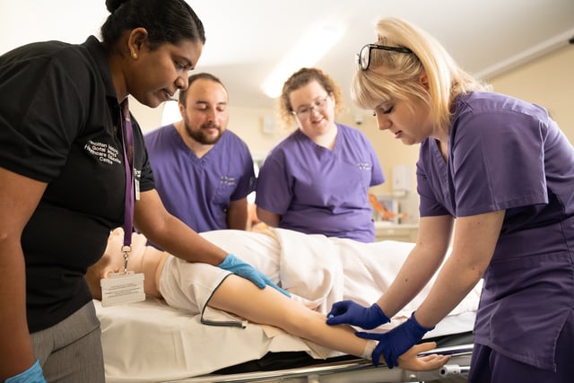 Network helping to shape nursing education in mid Wales