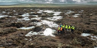 £180,000 for Eryri peatland restoration