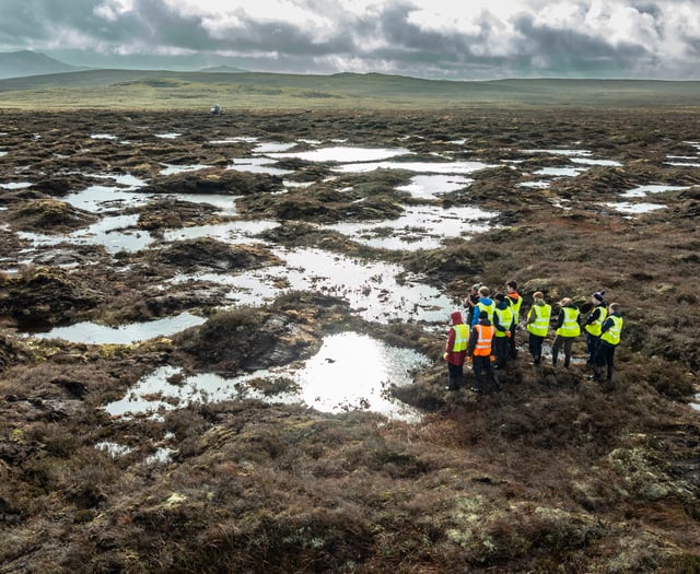 £180,000 for Eryri peatland restoration