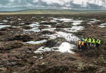 Peatland restoration project in Eryri begins