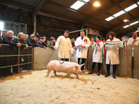 Royal Welsh Winter Fair celebrates excellence in food and farming