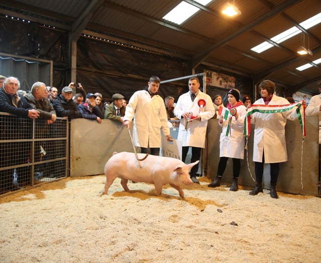 Royal Welsh Winter Fair celebrates excellence in food and farming