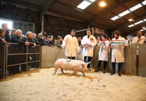Royal Welsh Winter Fair celebrates excellence in food and farming