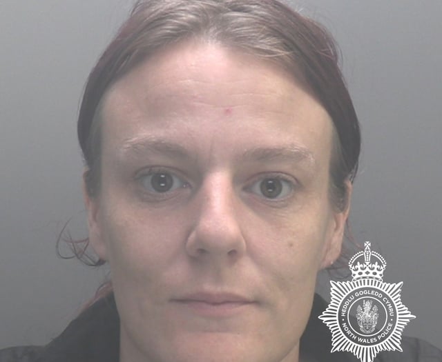 Woman who faked abusive messages to herself jailed