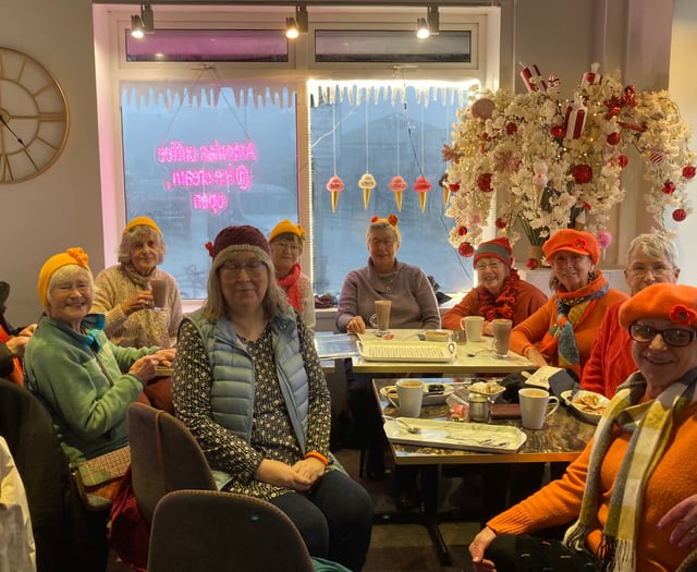 Inner Wheel Clubs unite to end violence against women