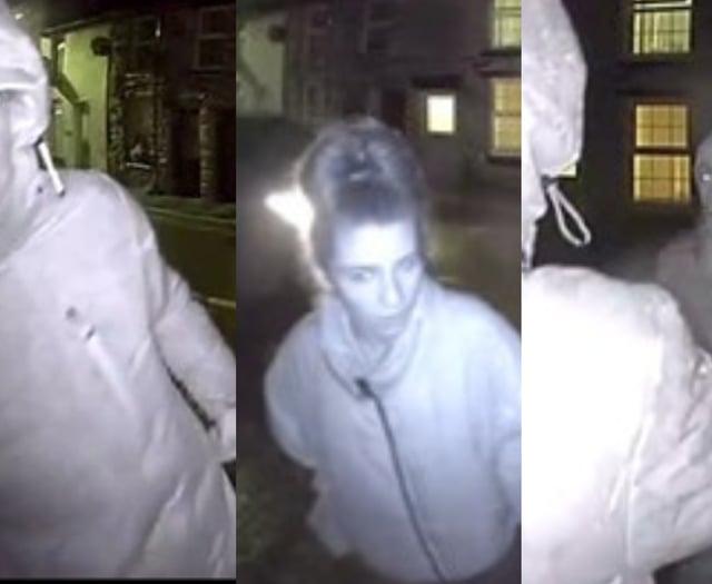 Police seek help to identify three people following Bala incident