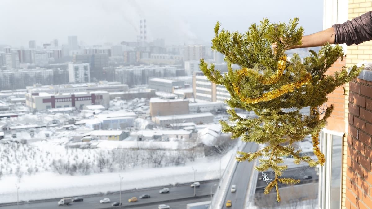 UK faces three million tonne festive waste crisis: How to reduce impact